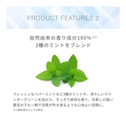 【季節限定】S&Mボディミスト アイスミント