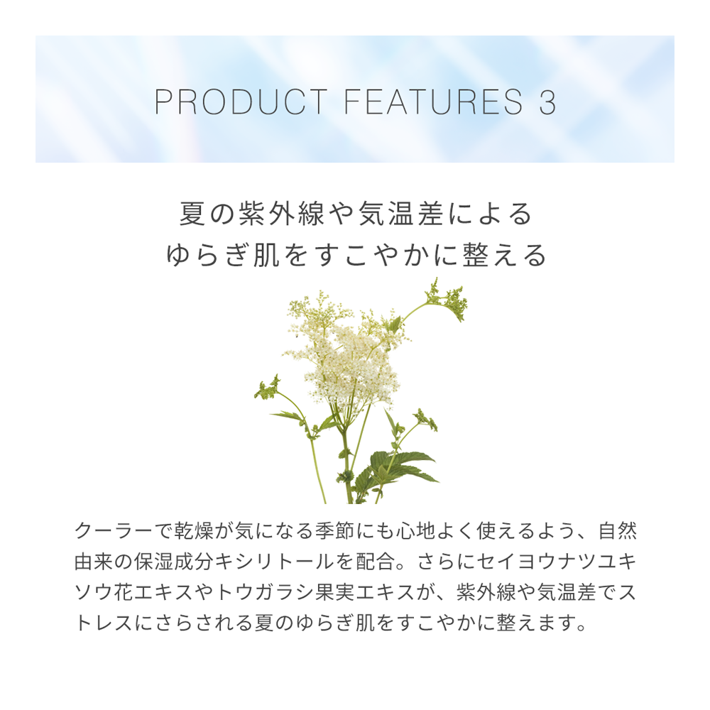 【季節限定】S&Mボディミスト アイスミント