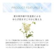 【季節限定】S&Mボディミスト アイスミント