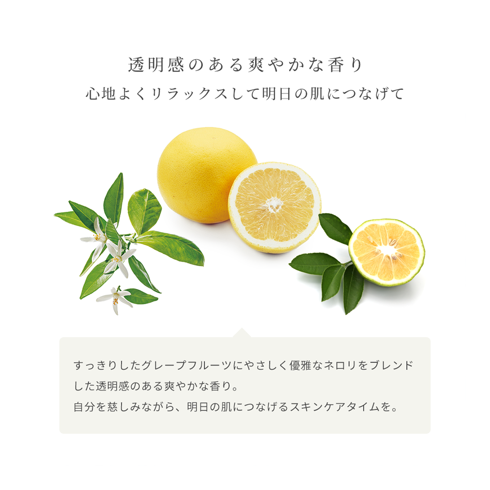 G&Nピュリファイングクレンザー N