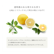 G&Nピュリファイングクレンザー N