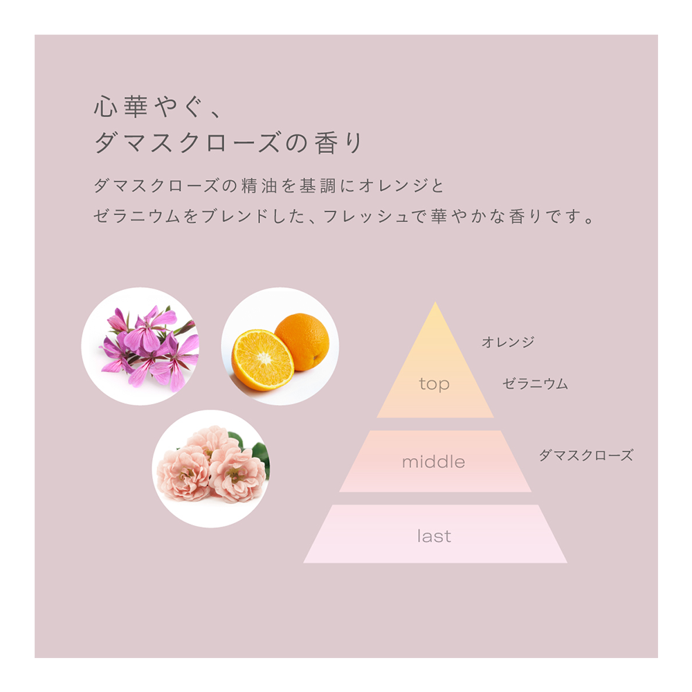 R&Aヘアマスク N（ローズ＆アプリコット） – ジョンマスターオーガニック