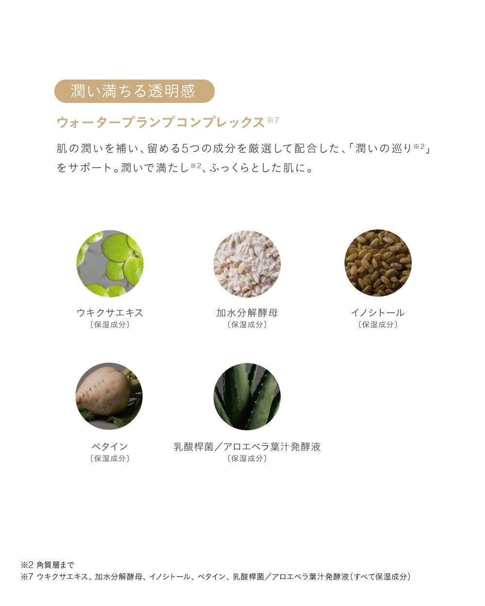 フィトソリューション リファイニング セラム 28mL