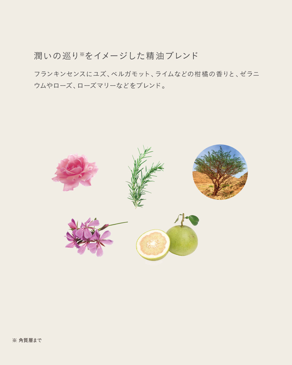 フィトソリューション リファイニング セラム 28mL