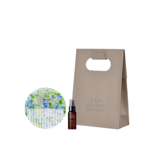【WEB限定】hair comb set gift（forest）