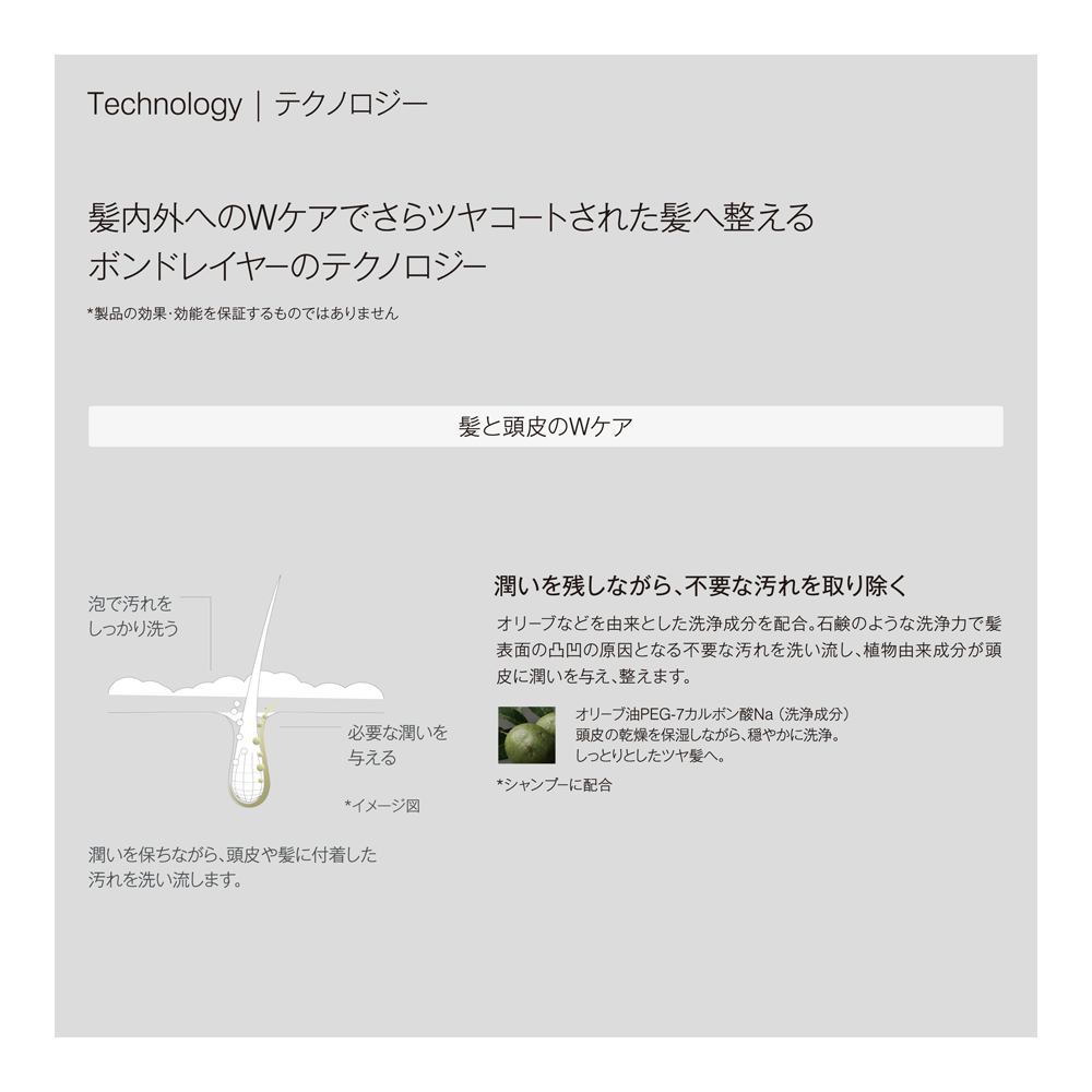 ボンドレイヤー コンプリートセット – ジョンマスターオーガニック ボンドレイヤー コンプリートセット – ジョンマスターオーガニック