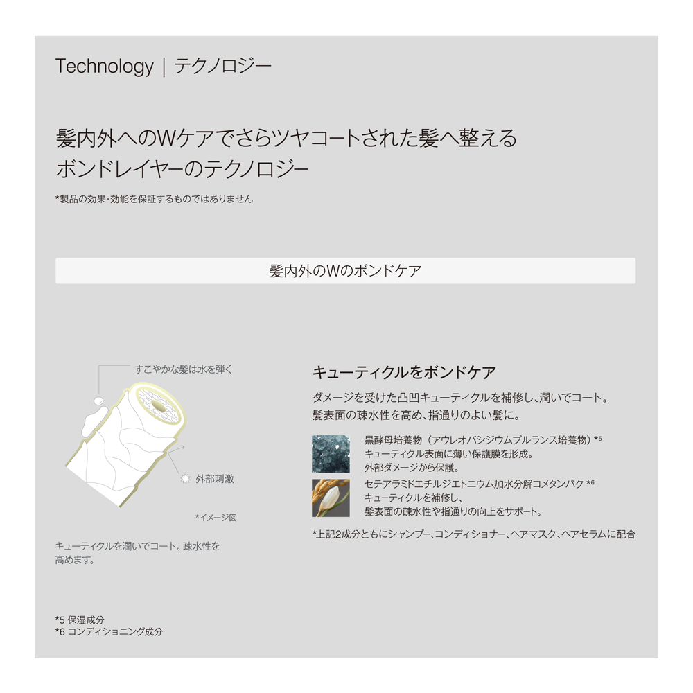 ボンドレイヤー コンプリートセット – ジョンマスターオーガニック ボンドレイヤー コンプリートセット – ジョンマスターオーガニック
