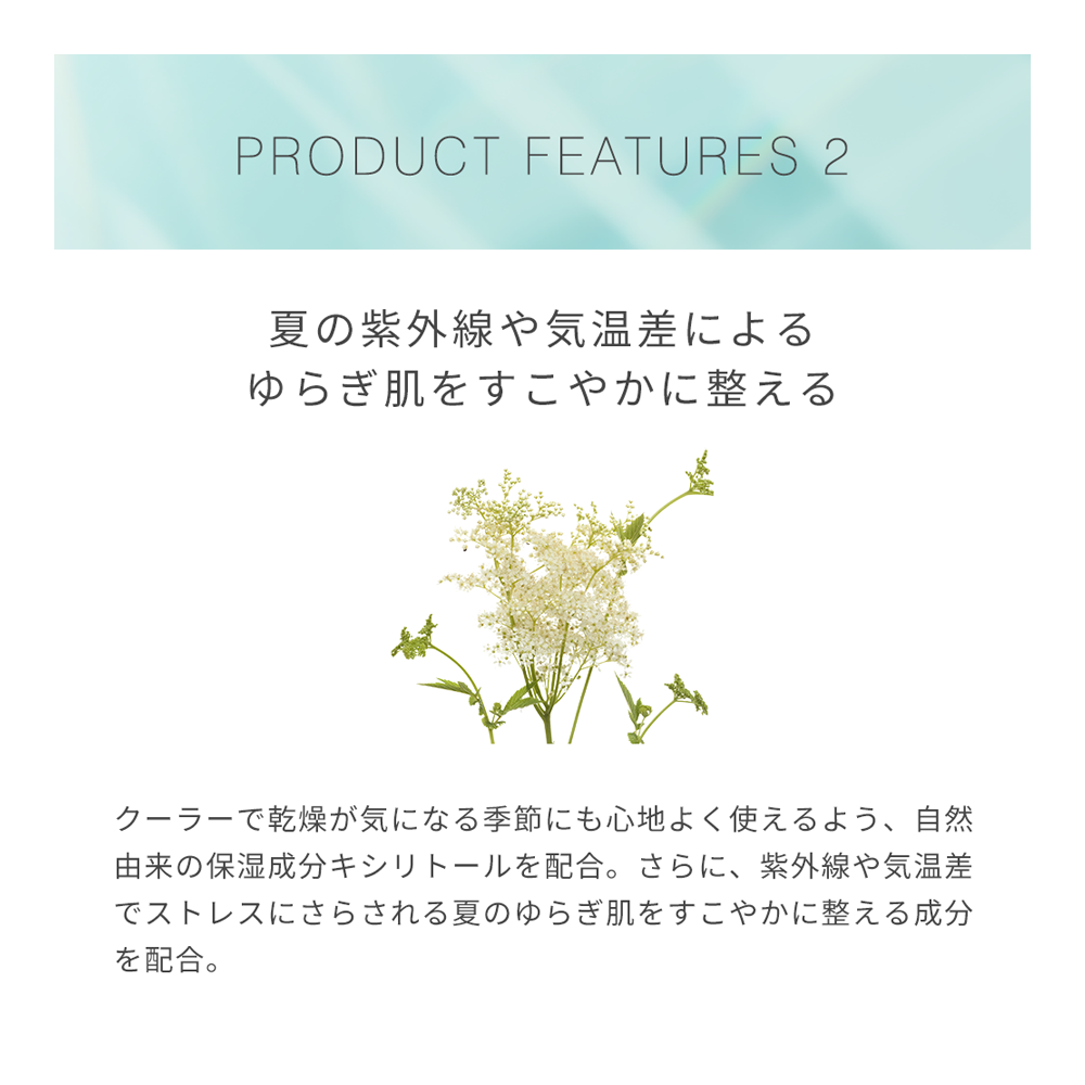 【数量限定】S&Mボディミスト ミント（スペアミント&メドウスイート）