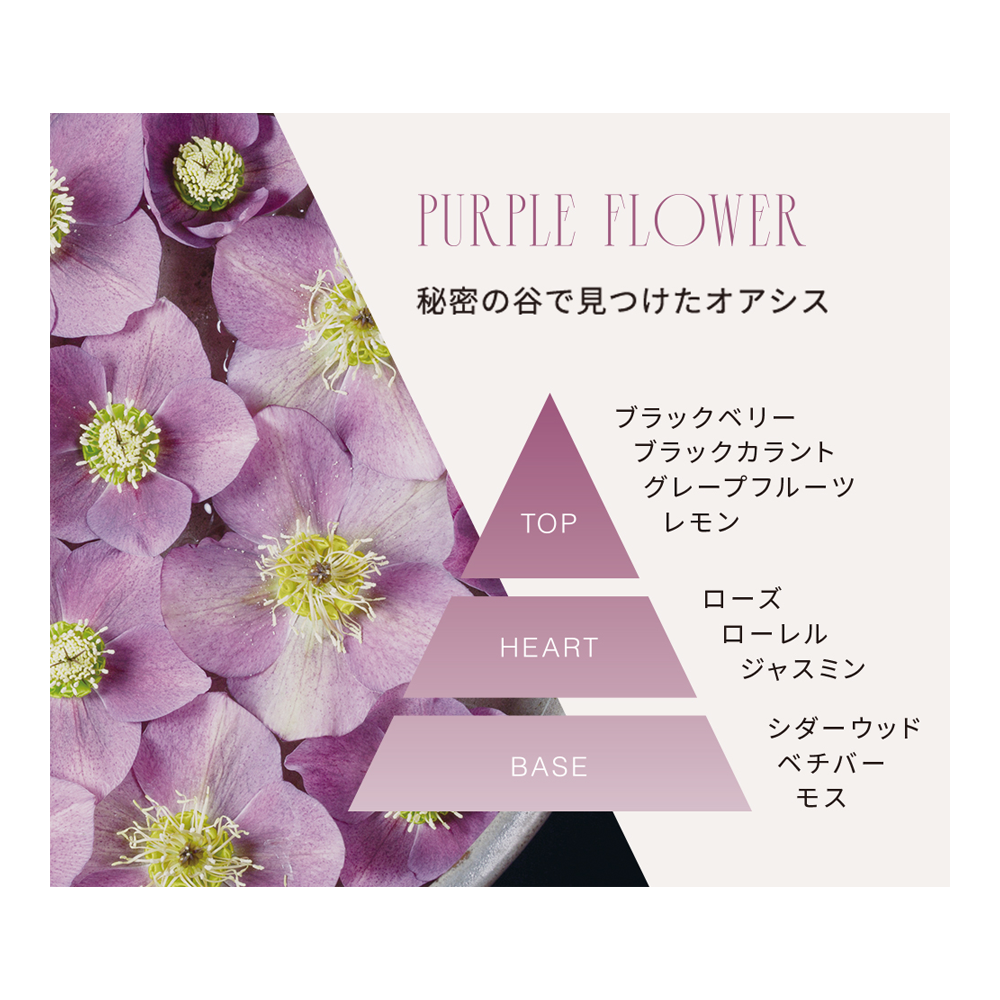 ホリデー限定】C&Vシャンプー パープルフラワー【2025 holiday ホリデー限定】C&Vシャンプー パープルフラワー【2025 holiday