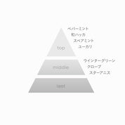【季節限定】S&Mボディミスト アイスミント