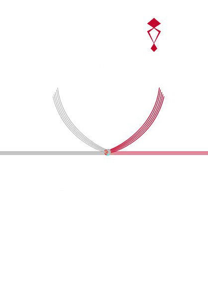 ラッピングコーディネート(熨斗・結び切り)